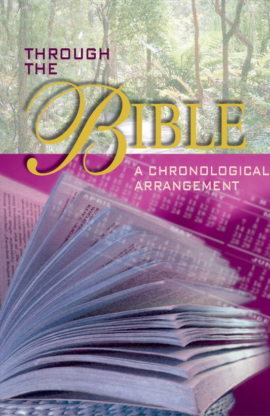 Through The Bible (Pack Of 25) - Re-vived