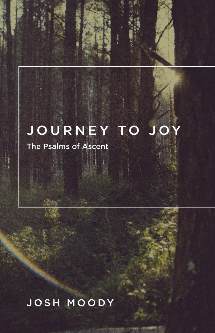 Journey To Joy - Re-vived