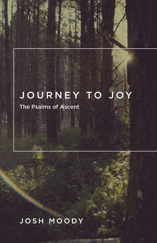 Journey To Joy - Re-vived