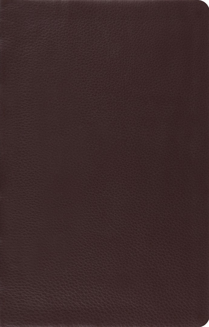 ESV Large Print Thinline Reference Bible (Brown) - Re-vived