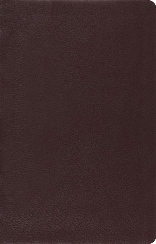 ESV Large Print Thinline Reference Bible (Brown) - Re-vived