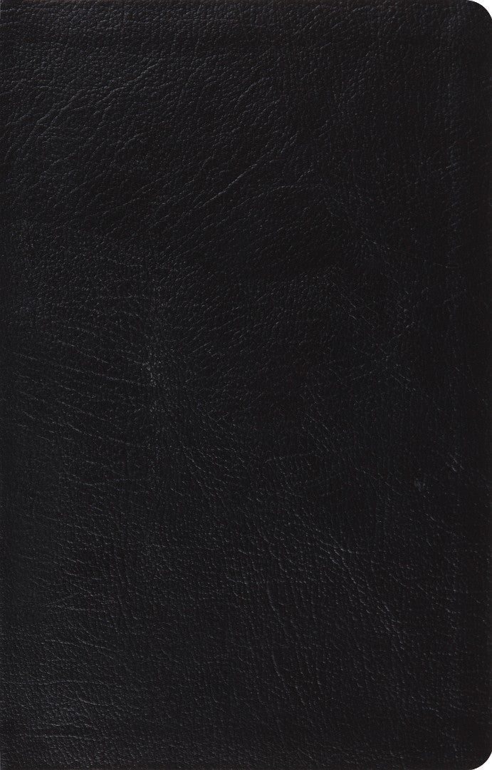 ESV Large Print Thinline Reference Bible (Black) - Re-vived