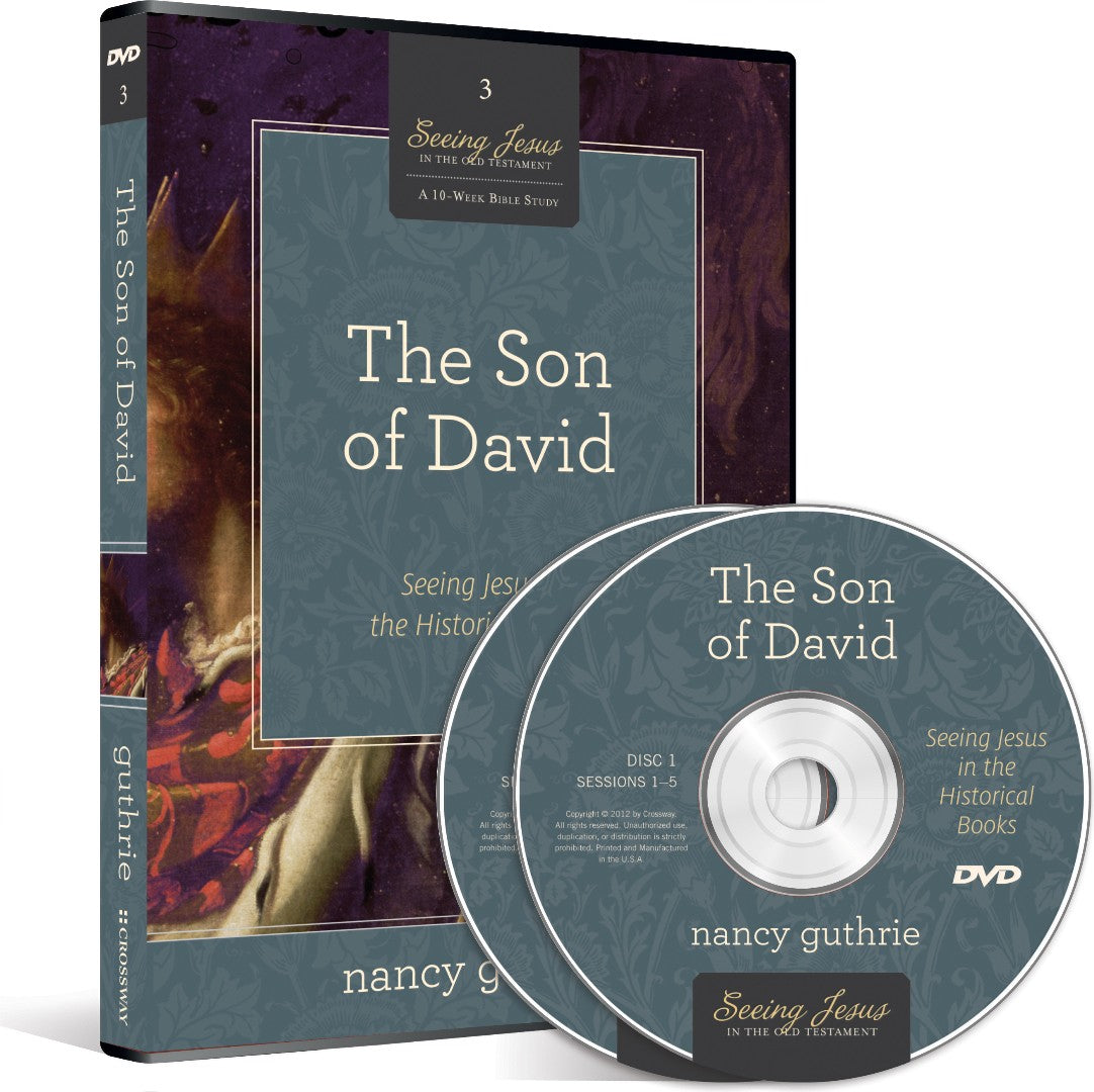 The Son of David DVD - Re-vived