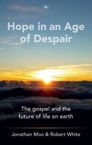 Hope In An Age Of Despair - Re-vived