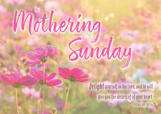 On Mothering Sunday - Postcard Pink (Pack of 24) - Re-vived