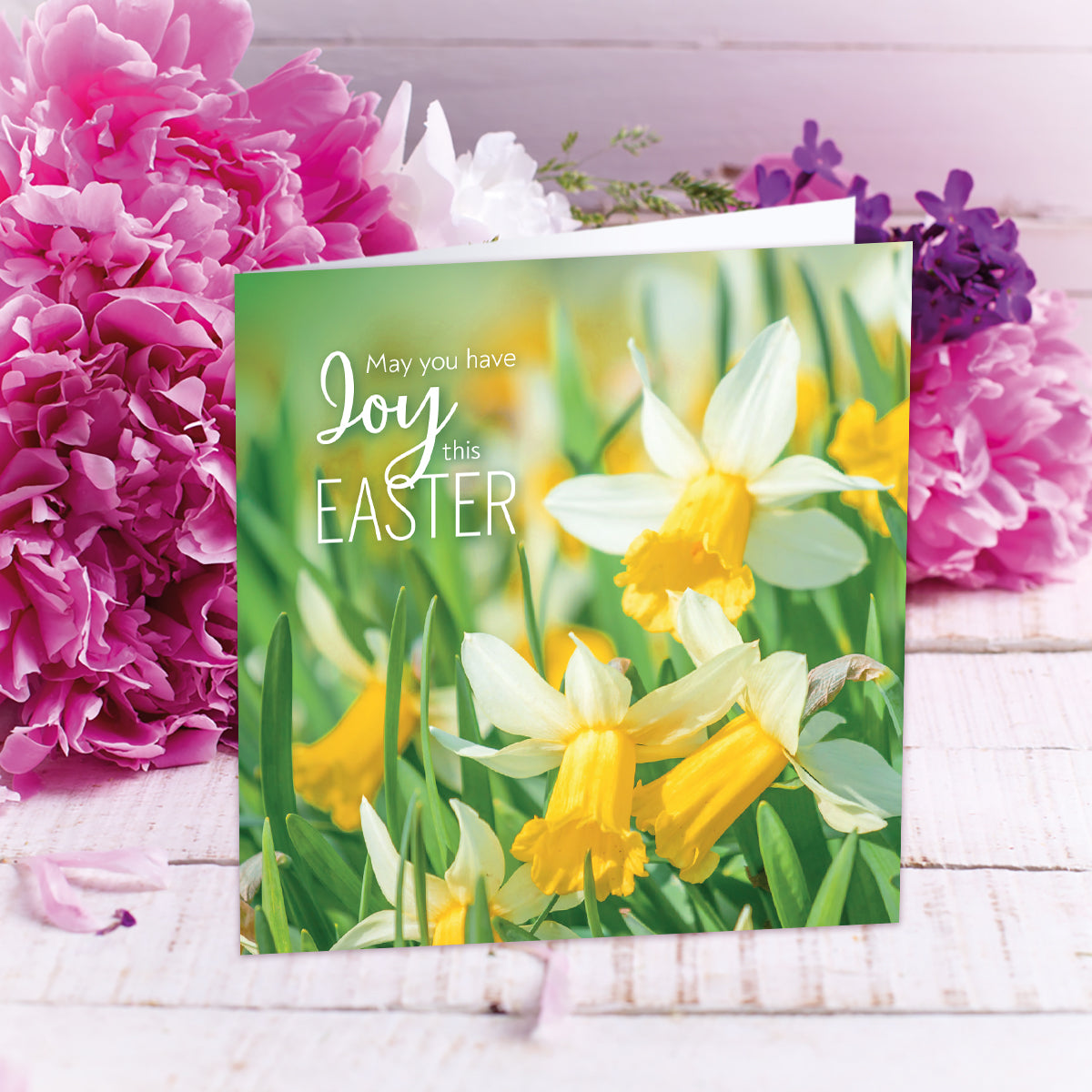 Compassion Charity Easter Cards: Joy/Daffodils (5 pack) - Re-vived