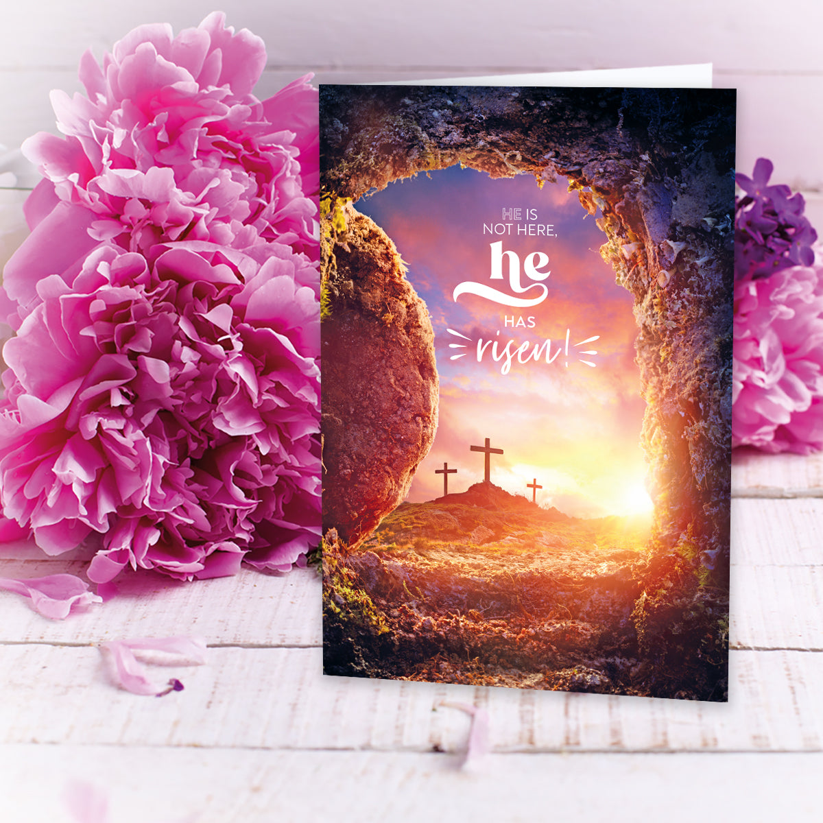 Compassion Charity Easter Cards: He is Risen (5 pack) - Re-vived