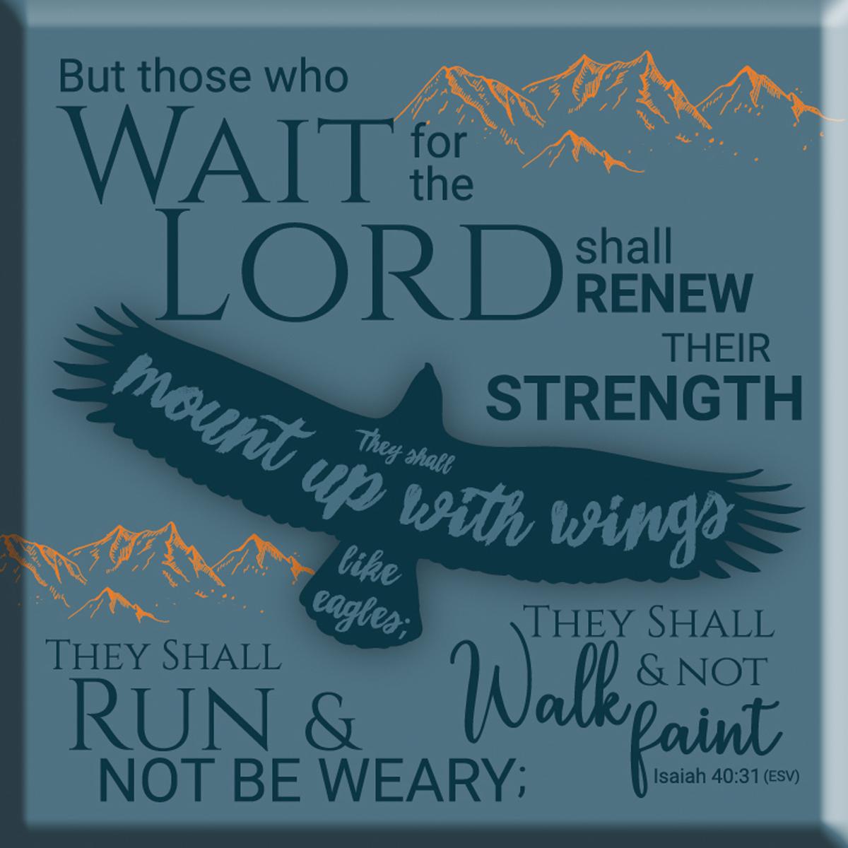 Eagles Wings Magnet - Re-vived