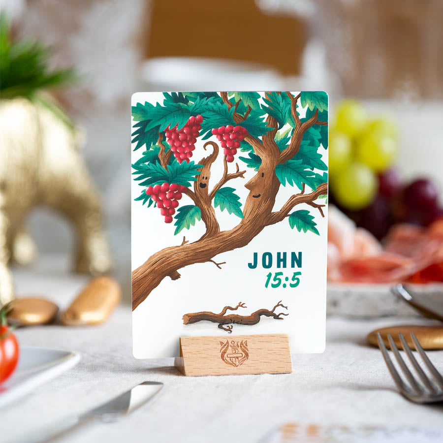 Trinity Illustrated Bible Cards - Re-vived
