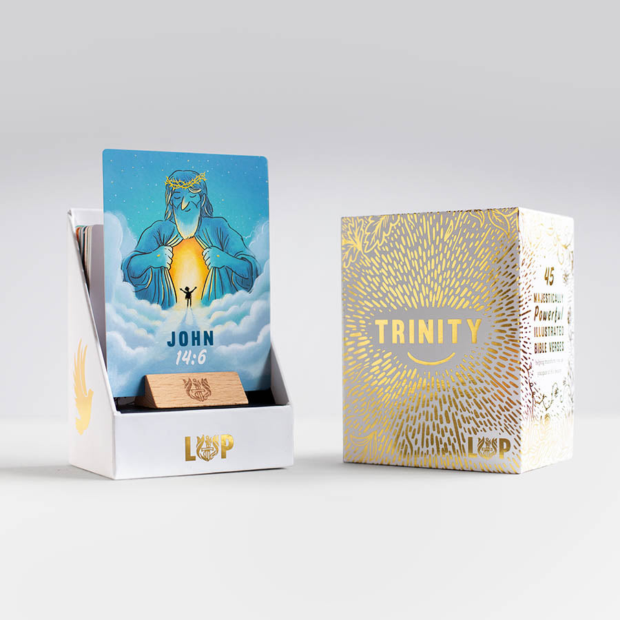 Trinity Illustrated Bible Cards - Re-vived
