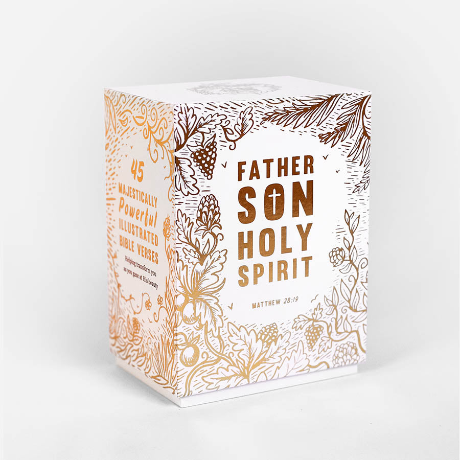 Trinity Illustrated Bible Cards - Re-vived