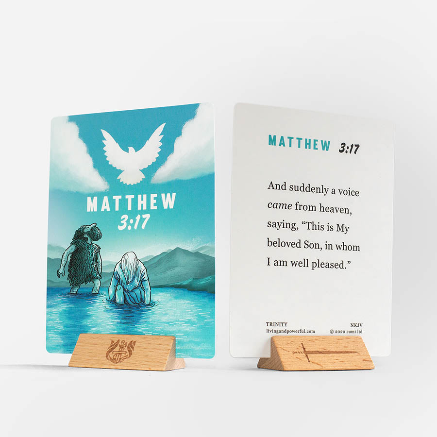 Trinity Illustrated Bible Cards - Re-vived