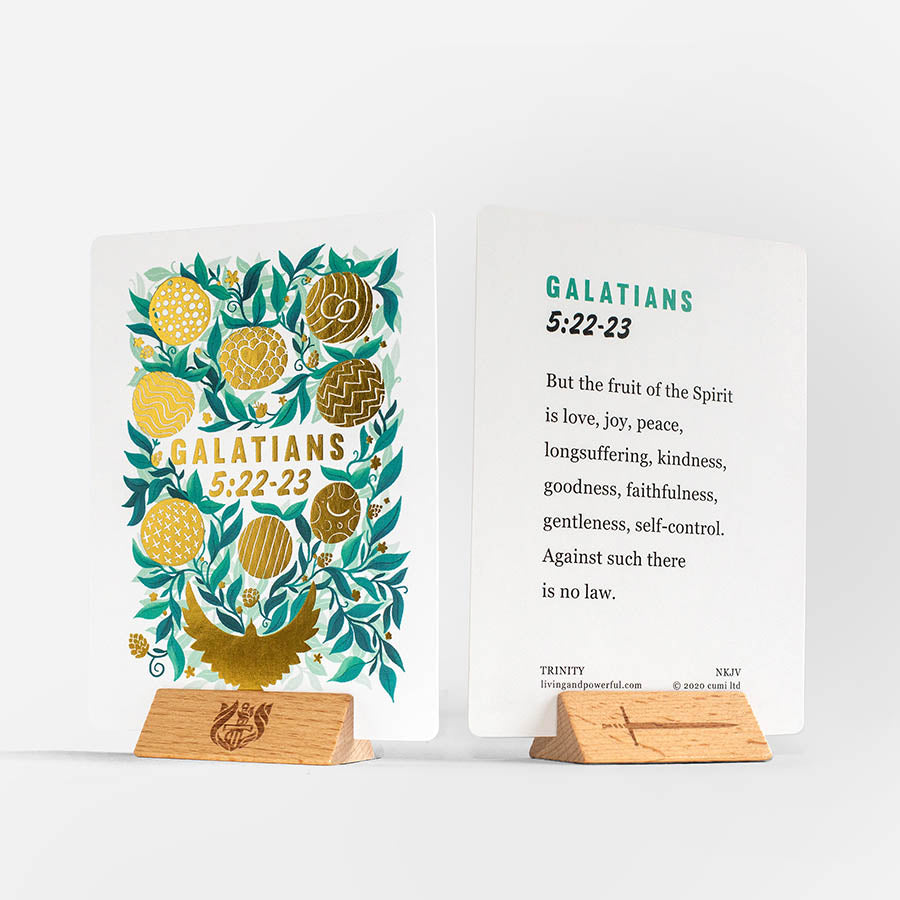 Trinity Illustrated Bible Cards - Re-vived