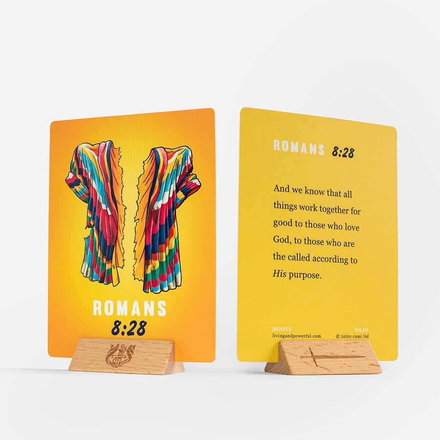 Roots Illustrated Bible Cards - Re-vived