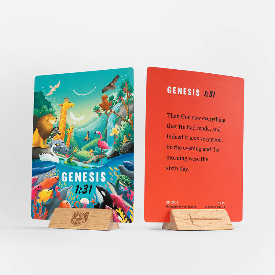 Unique Illustrated Bible Cards - Re-vived