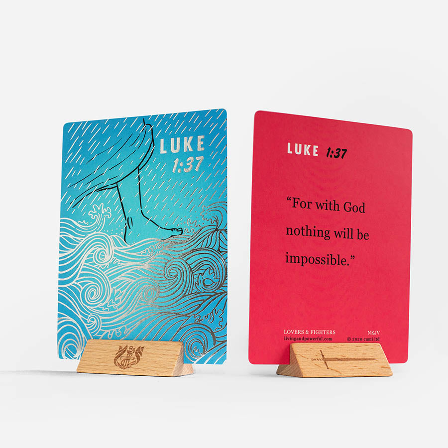 Lovers and Fighters Illustrated Bible Cards - Re-vived