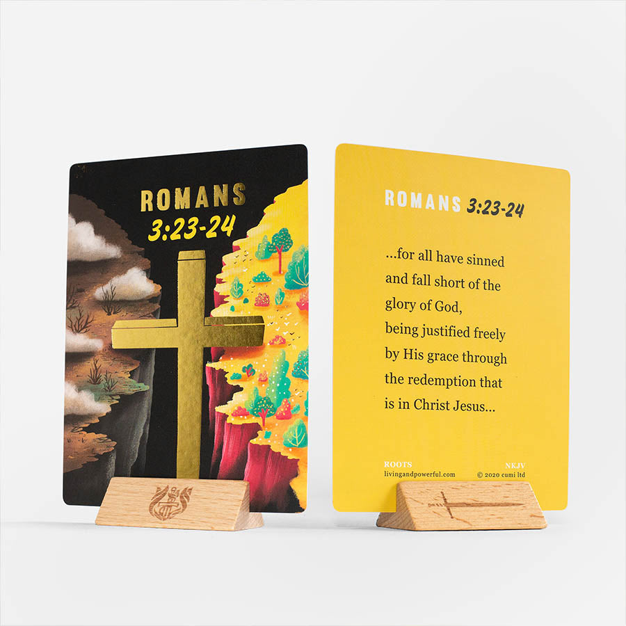 Wonder Box NKJV - Re-vived