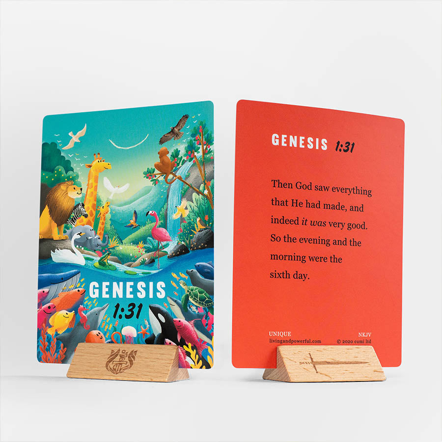 Wonder Box NKJV - Re-vived