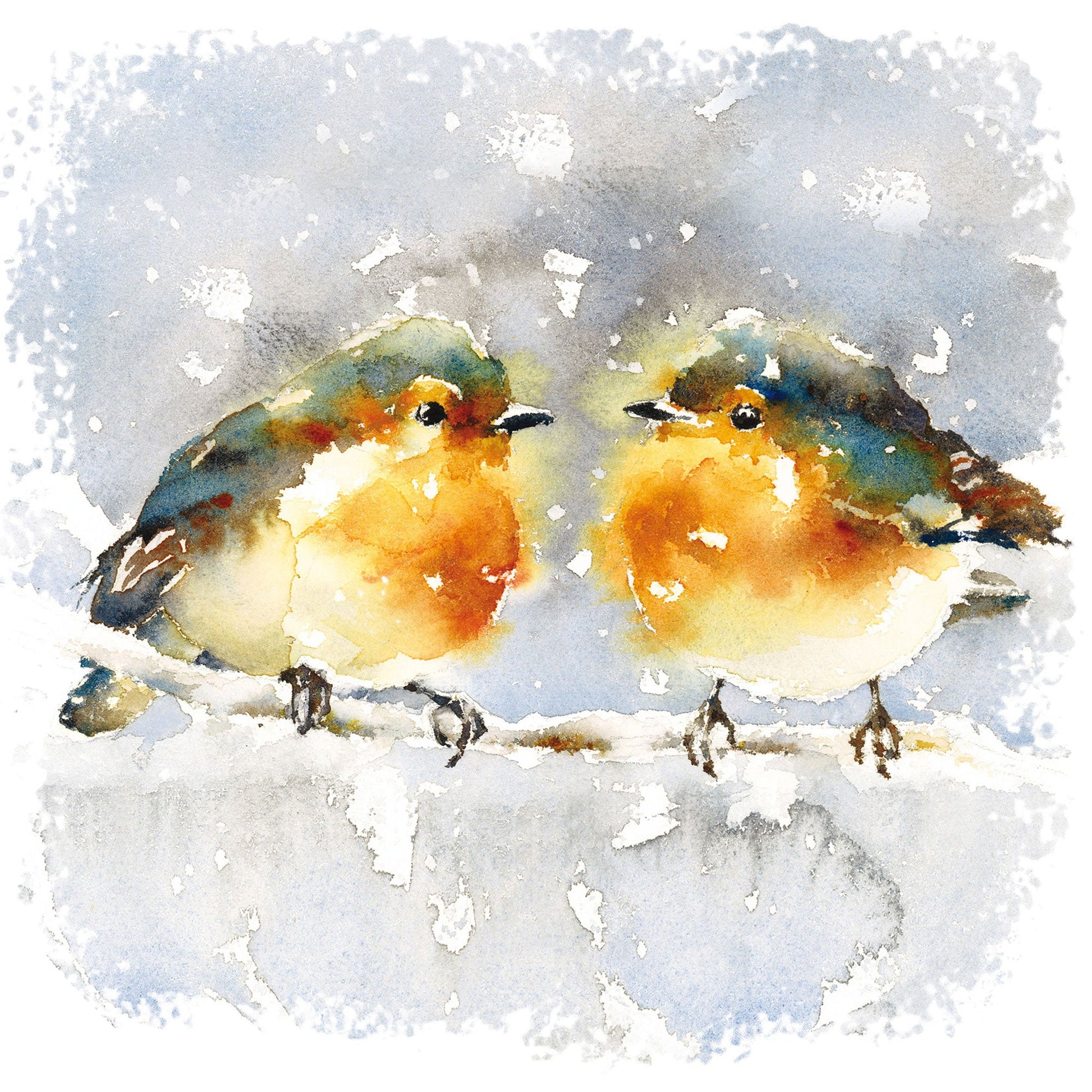 Two Robins Christmas Cards (pack of 10) - Re-vived