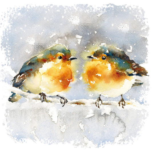 Two Robins Christmas Cards (pack of 10) - Re-vived