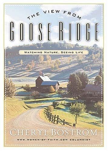 The View from Goose Ridge - Re-vived