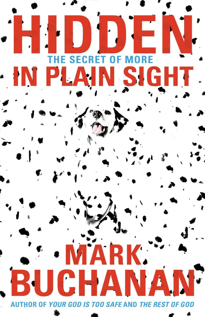 Hidden in Plain Sight - Re-vived