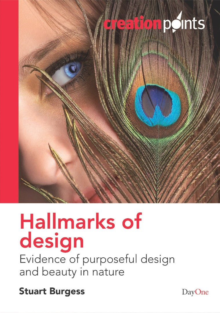 Hallmarks Of Design - Re-vived