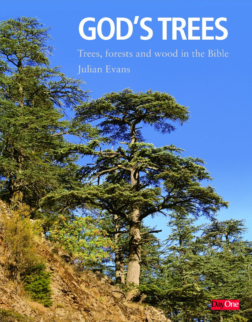God's Trees - Re-vived
