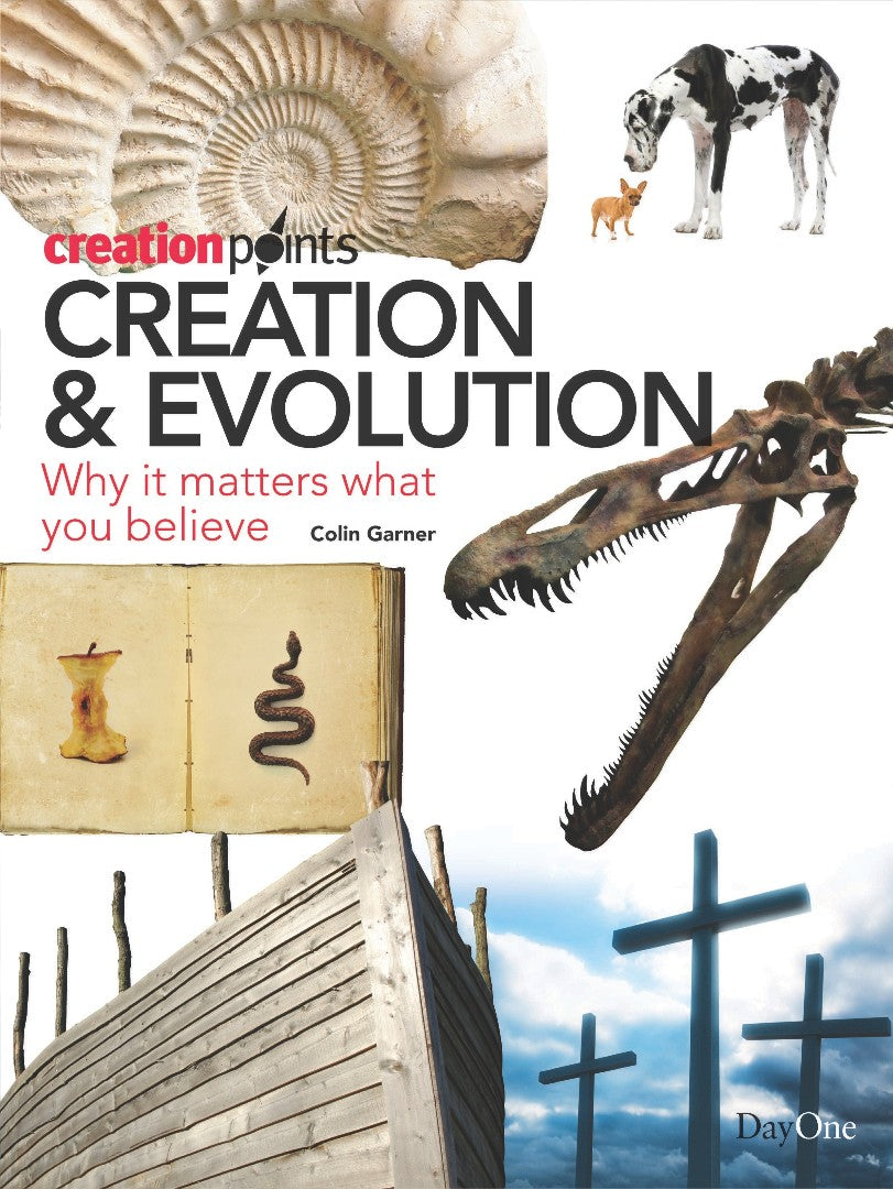 Creation And Evolution - Re-vived