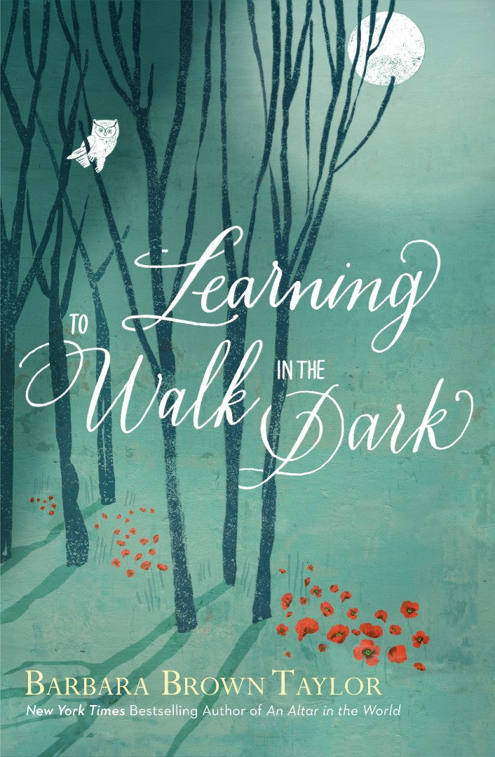 Learning To Walk In The Dark - Re-vived