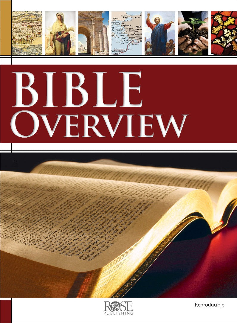 Rose Bible Overview Book - Re-vived