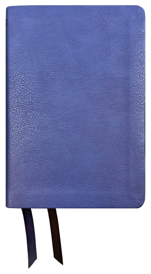 NASB 1995 Large Print Compact Bible, Blue, Leathertex - Re-vived