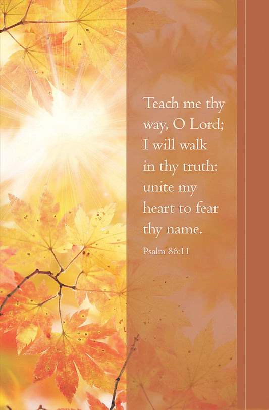 Teach Me Thy Way Bulletin (Pack of 100) - Re-vived