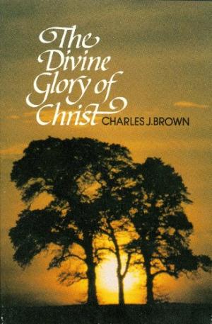 The Divine Glory Of Christ - Re-vived
