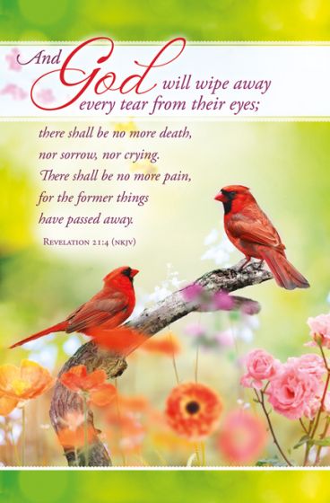 Wipe Every Tear Funeral Bulletin (Pack of 100) - Re-vived