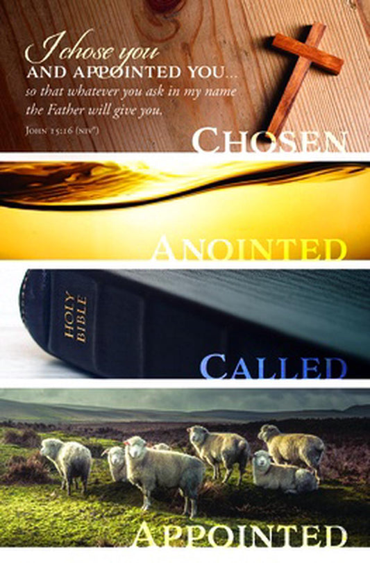 I Chose You and Appointed You Bulletin (pack of 100) - Re-vived