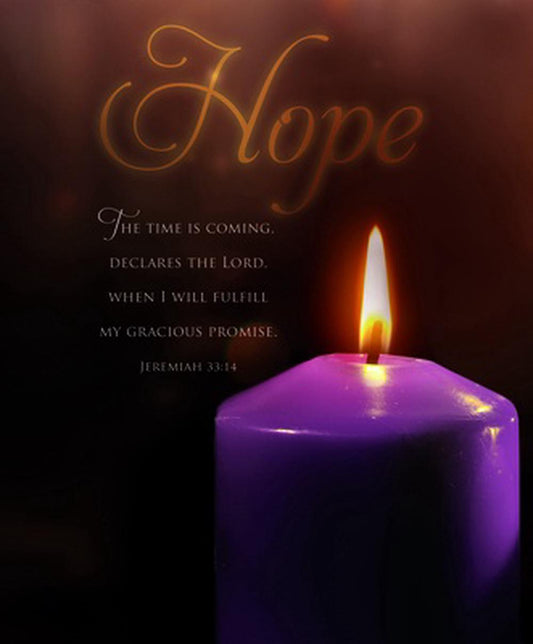 Hope Scripture Advent Large Bulletin (pack of 100) - Re-vived