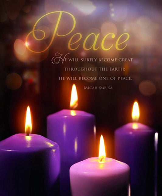 Peace Scripture Advent Large Bulletin (pack of 100) - Re-vived