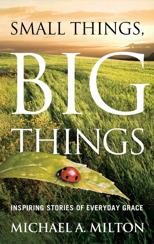 Small Things Big Things - Re-vived