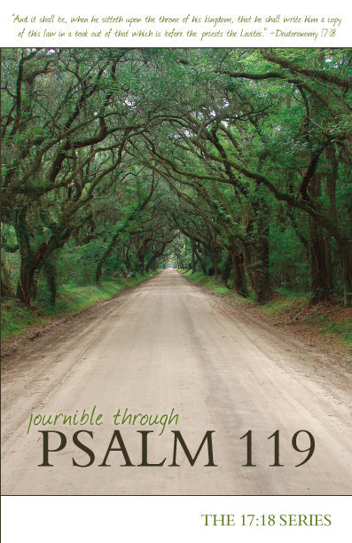 Journible Through Psalm 119 - Re-vived