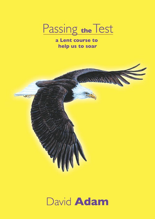Passing the Test - Re-vived