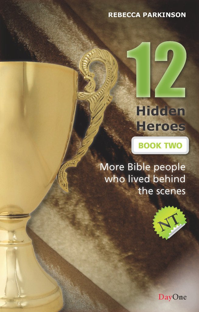 Twelve hidden Heroes: New Testament (Book 2) - Re-vived