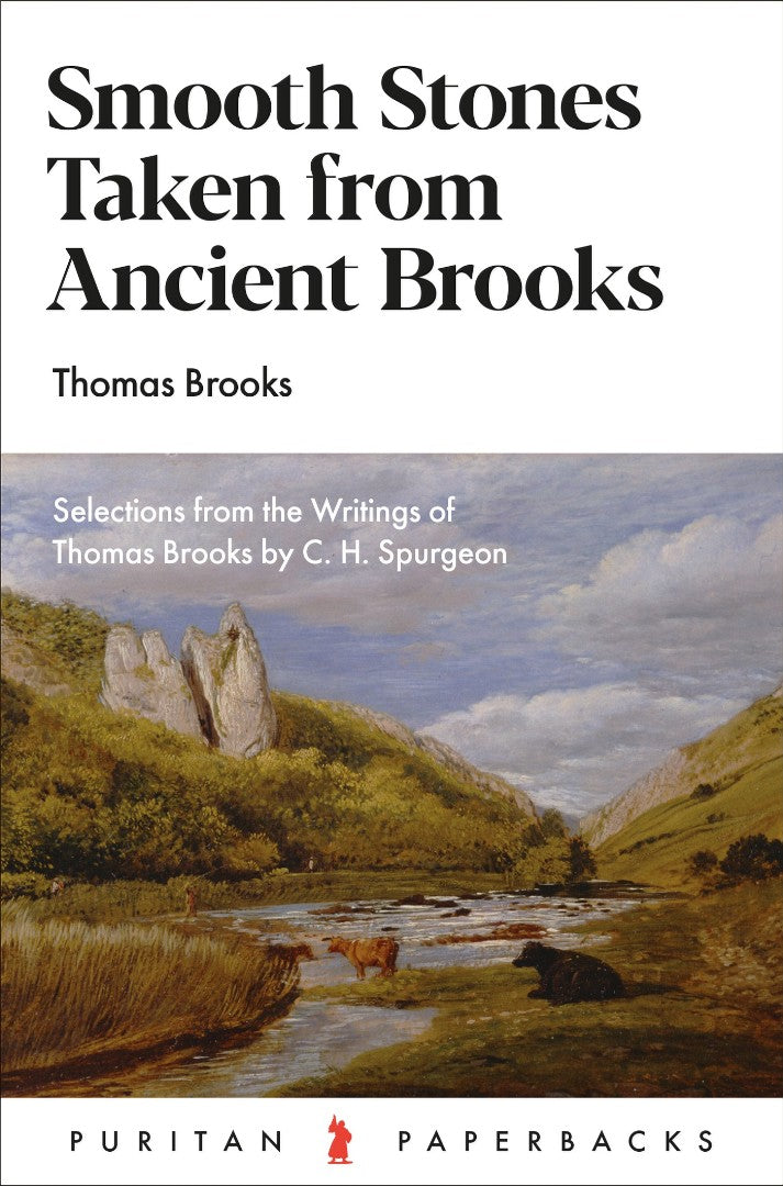 Smooth Stones Taken From Ancient Brooks - Re-vived