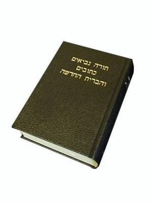 Hebrew Bible - Re-vived