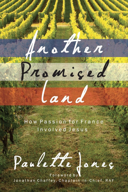 Another Promised Land - Re-vived