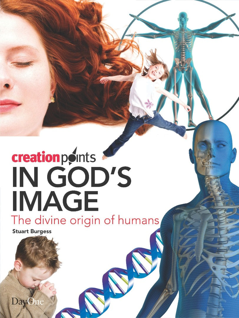 In God's Image - Re-vived