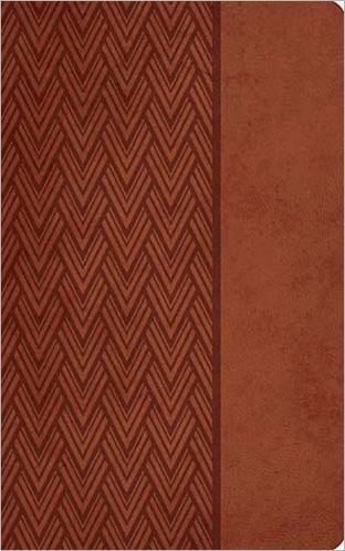 KJV GP C/Col Ref LS/Br - Re-vived