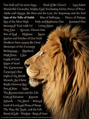 Lion of Judah Laminated Wall Chart - Re-vived