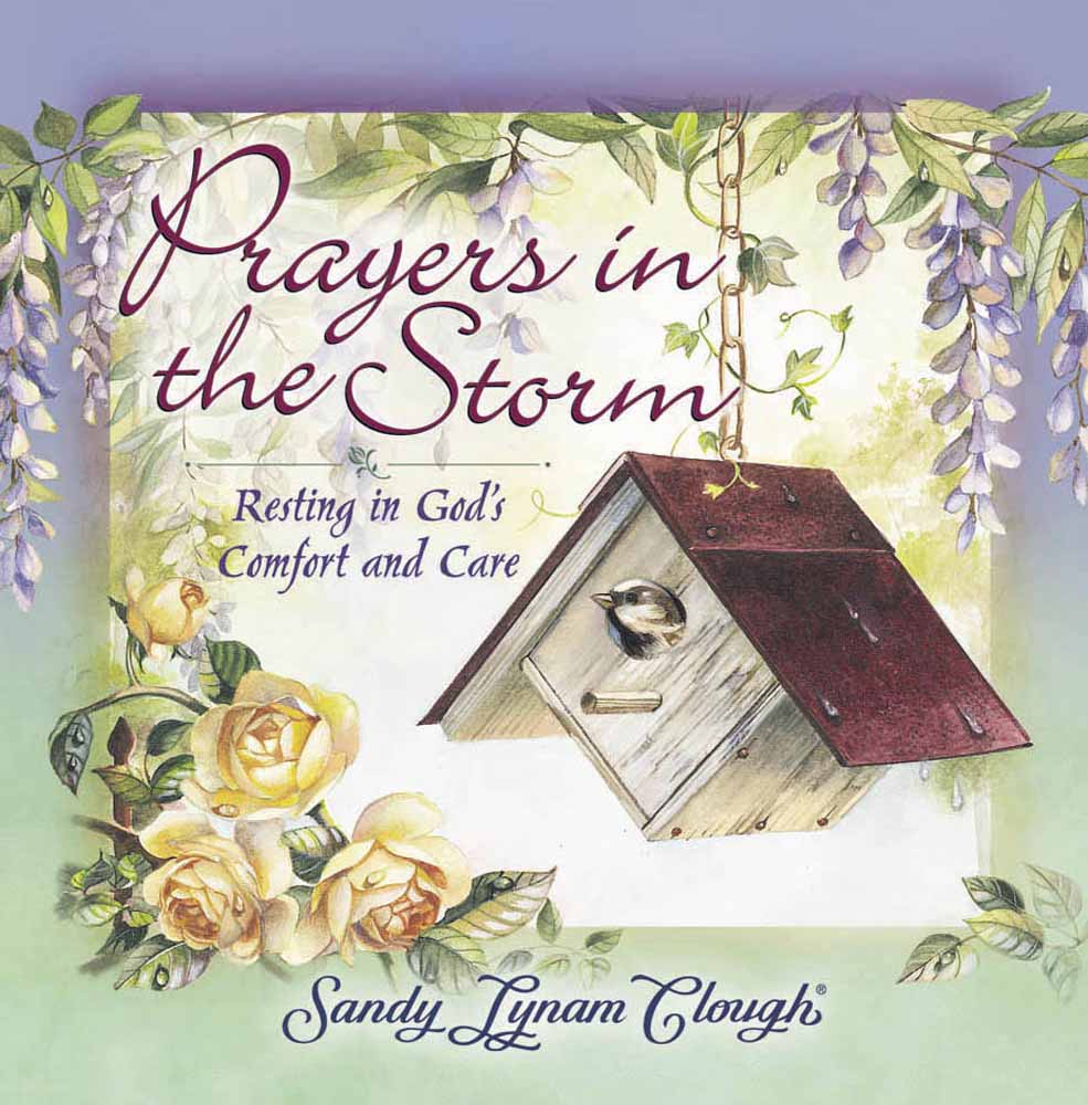 Prayers in the Storm H/b - Re-vived