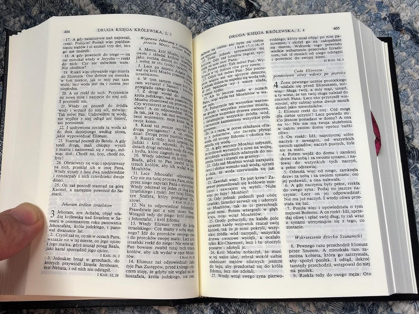 Polish Bible - Re-vived
